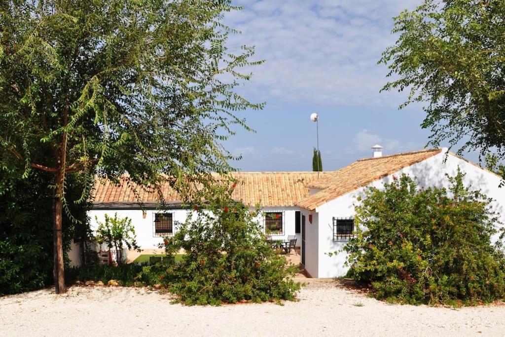 Casa Rural La Linana Кордова Екстер'єр фото